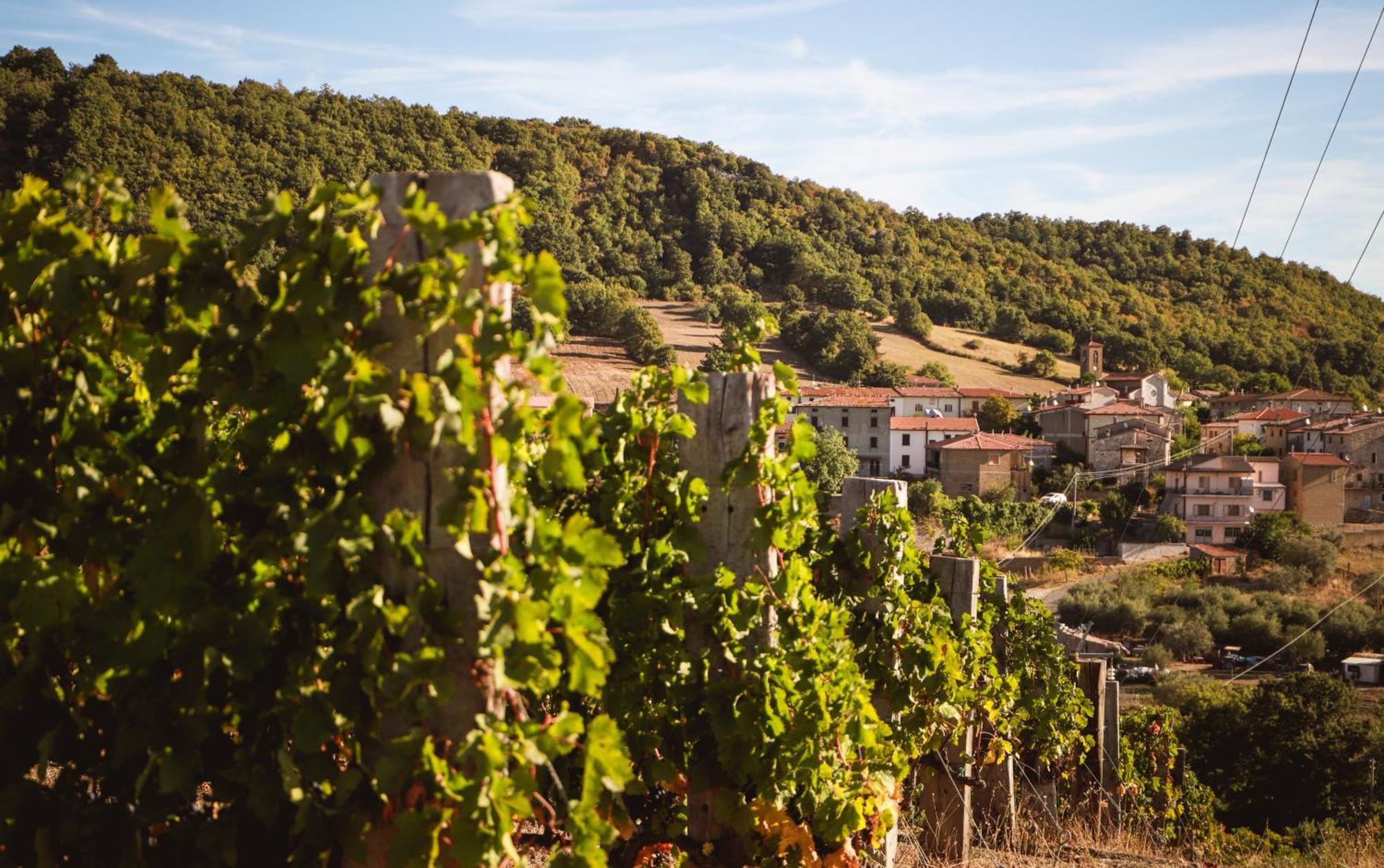 Bio Agriturismo Poggio Aione Saturnia Eksteriør billede