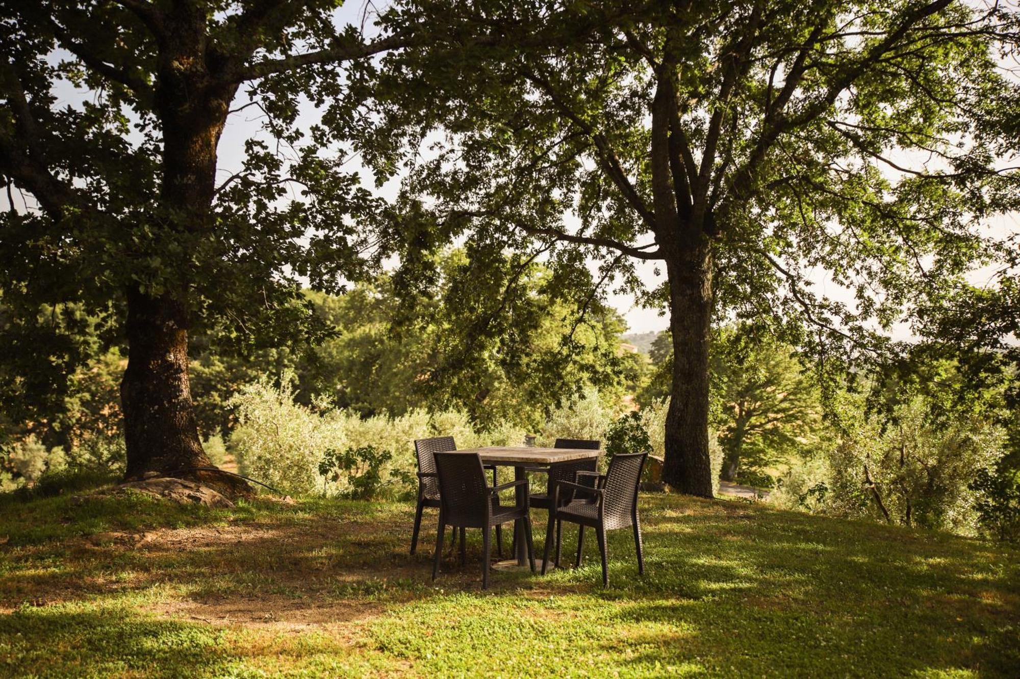 Bio Agriturismo Poggio Aione Saturnia Eksteriør billede